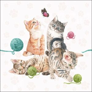 Salvetes 33cm 3-k. 20gab PLAYING KITTEN