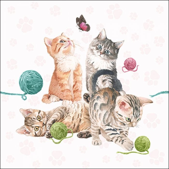 Salvetes 33cm 3-k. 20gab PLAYING KITTEN
