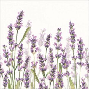 Salvetes 33cm 3-k. 20gab LAVENDER SHADES WHITE
