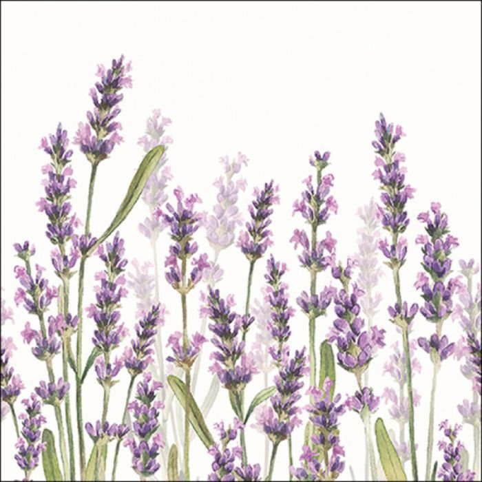 Salvetes 33cm 3-k. 20gab LAVENDER SHADES WHITE