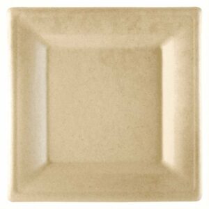 Šķīvji v/l. papīra BIONIC 26.2x26.2cm 50gab