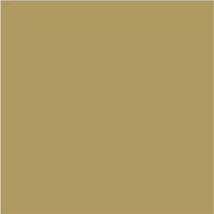 Salvetes 39x39cm zelta 50gab ECO