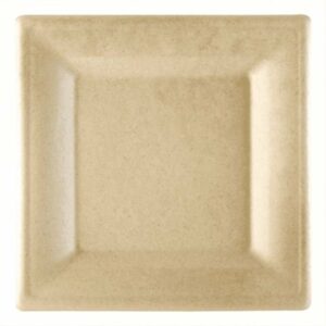 Šķīvji v/l. papīra BIONIC 16x16cm 50gab