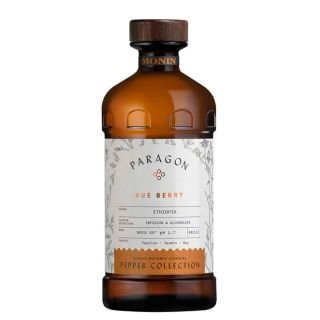 PARAGON Rūtas ogu kordiāls 485ml