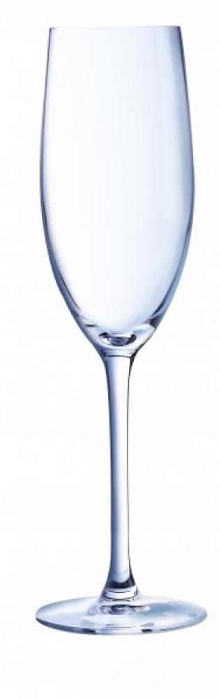 C&S CABERNET ŠAMPANIEŠA GLĀZE 24CL, Chef and Sommelier
