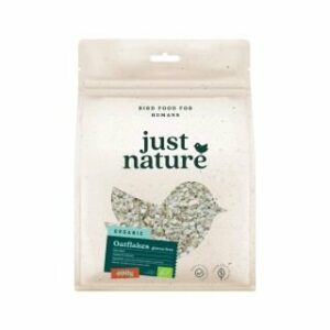 Auzu pārslas bezglutēna BIO 400g JUST NATURE