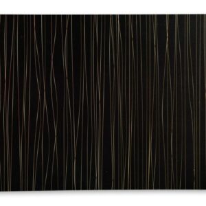 PALIKTNIS 43.5x28CM, MELNS AR ZELTA SVĪTRIŅĀM, PP PLASTMASA, Kesper