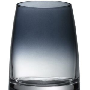 DIVINE COLOR ŪDENS GLĀZE, 325ML, DŪMAKAINI PELĒKA, WMF