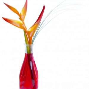 CARRE KARAFE 0.5 L KVADRĀTVEIDA, Partner