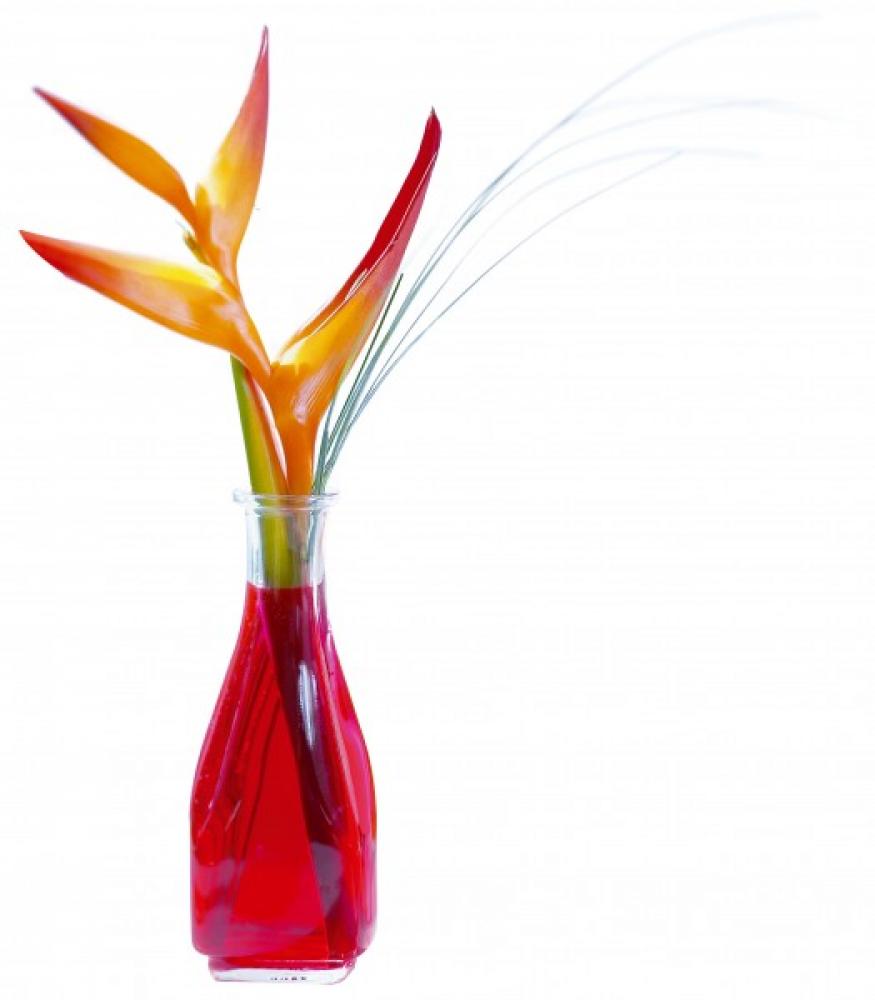 CARRE KARAFE 0.5 L KVADRĀTVEIDA, Partner