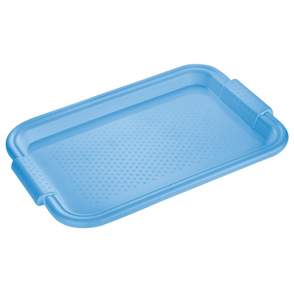 Padėklas plast. 45*30*2.5cm 268