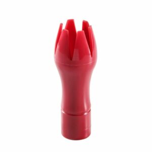 Uzgalis sifonam tulpe sarkans