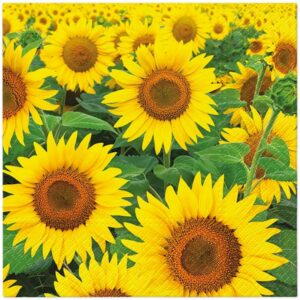 SALVETES 33x33CM, SUNFLOWERS FIELD, Paw Decor Collection