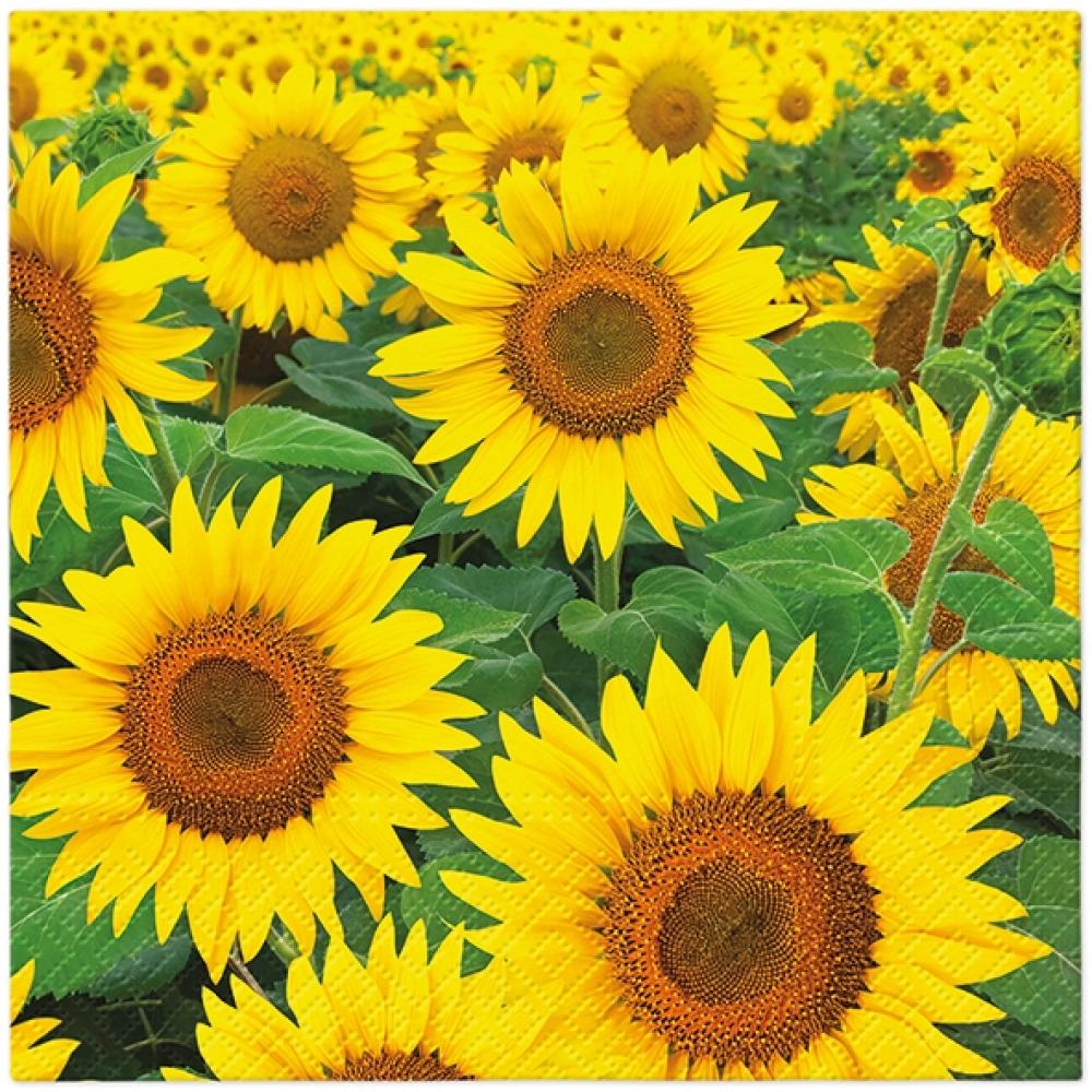 SALVETES 33x33CM, SUNFLOWERS FIELD, Paw Decor Collection