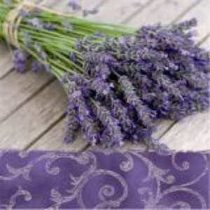 SALVETES 33x33CM, LAVENDER IN THE COUNTRY, Paw Decor Collection