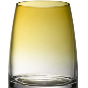 DIVINE COLOR ŪDENS GLĀZE, 325ML, DZINTARA KR., WMF