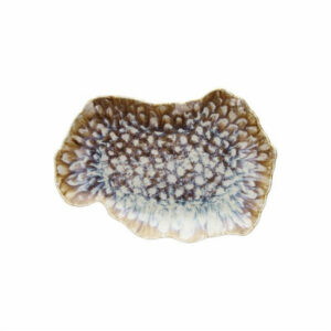 Šķīvis REEF 30x20cm