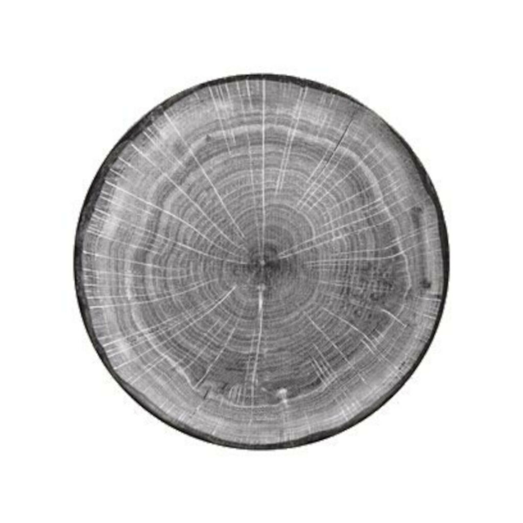 Šķīvis WOODART ø29cm pelēks